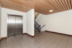 Zadkinerade 17_06.jpg